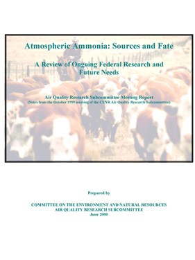 report cover image