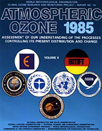 1985 assessment cover