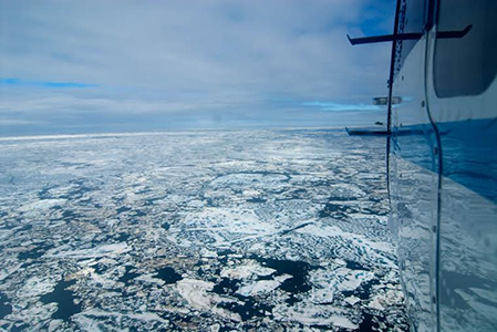 Arctic sea ice