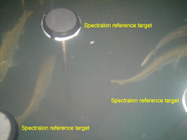 calibration apparatus