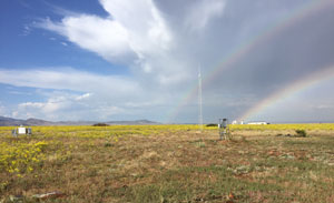 field atop Table Mountain