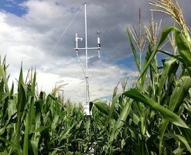 BioCORN ground site