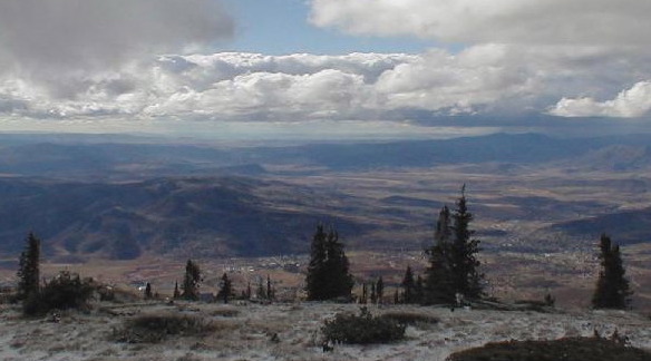 view