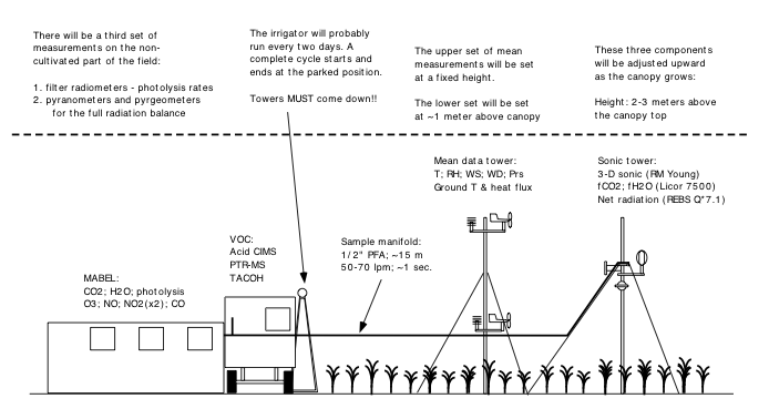 site layout 2