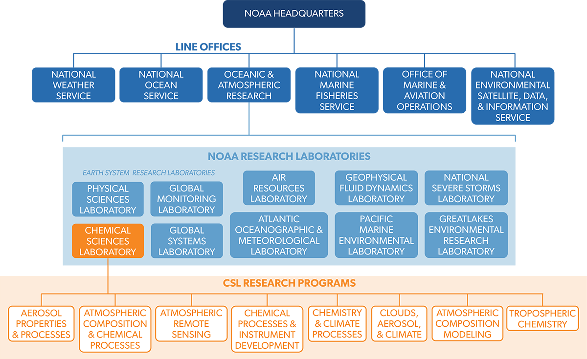 organizational chart