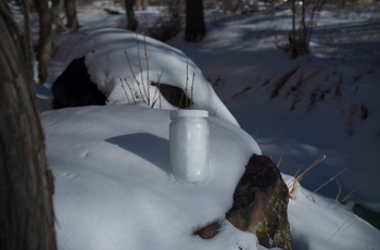 snow sample