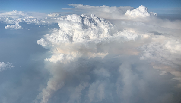 pyrocumulonimbus cloud