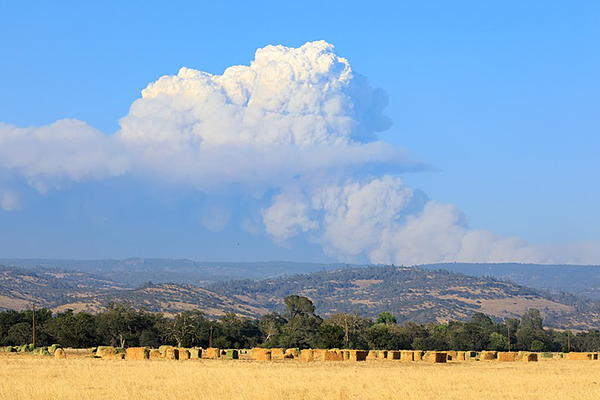 Dixie Fire cloud