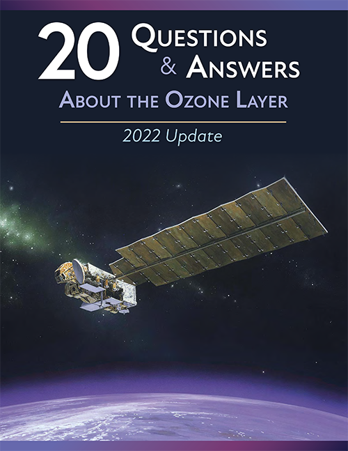 20Q&A cover