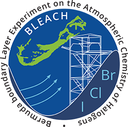 BLEACH logo