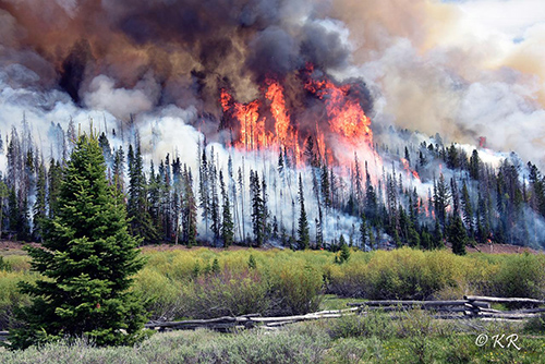 prescribed burn smoke and flames