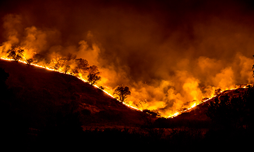 timber burning at night